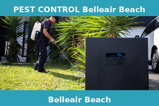 PEST CONTROL Belleair Beach